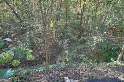 31 Creekside Lane Clayton GA 30525