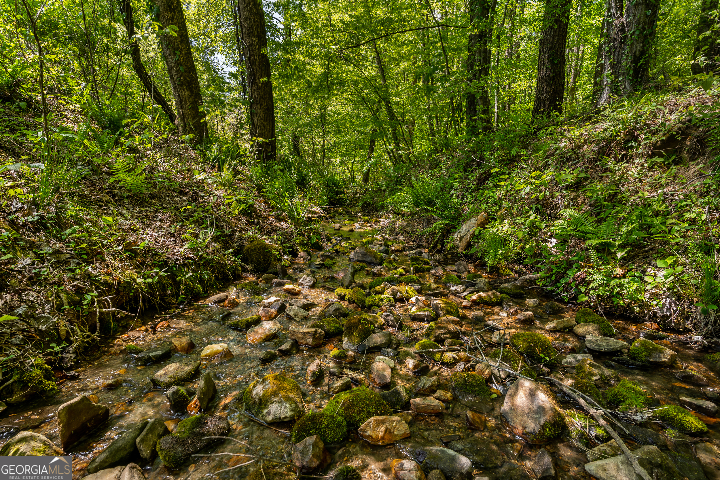 8954 Doublehead Gap Road Blue Ridge GA 30513
