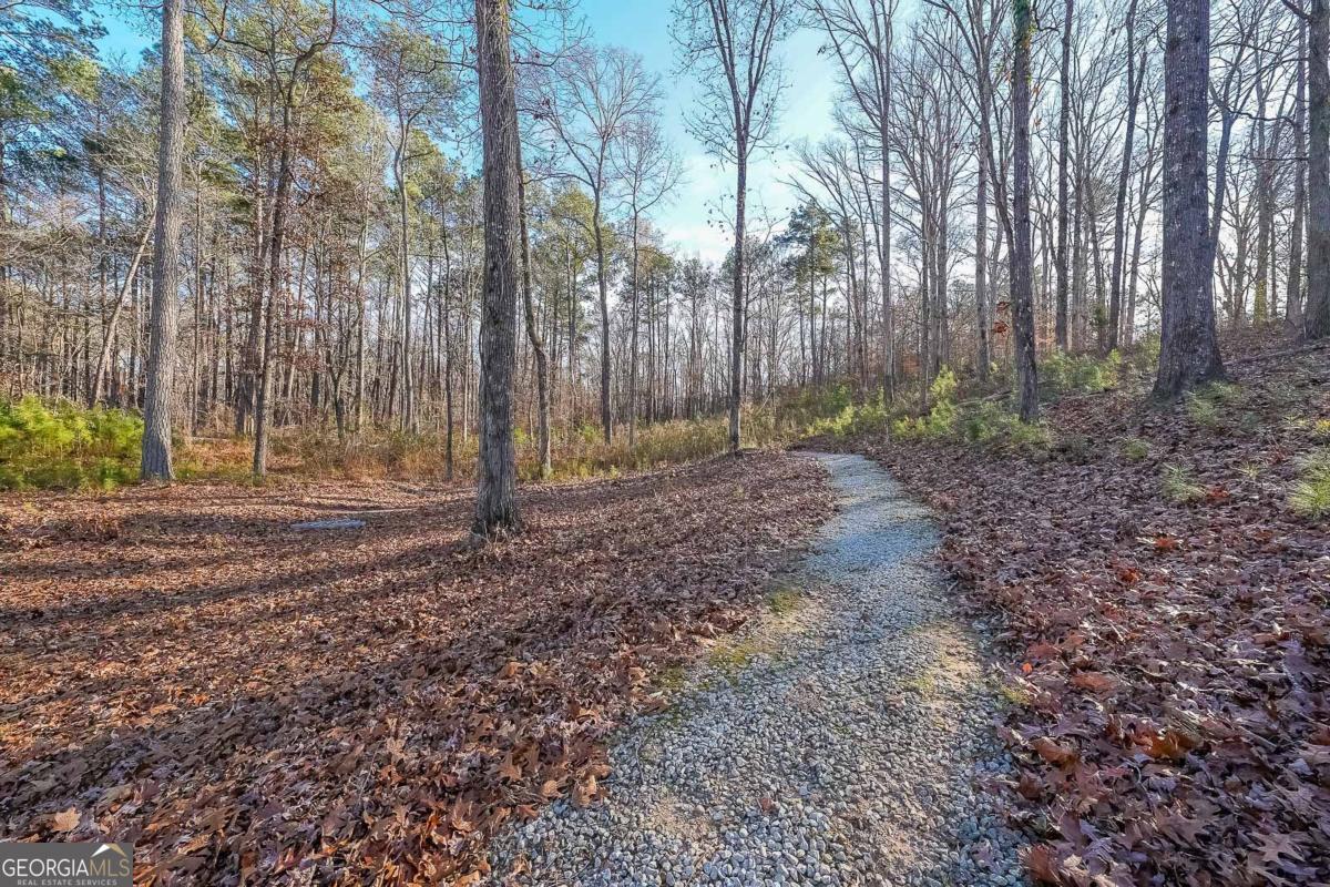 2425 Wild Oak Court Stockbridge GA 30281