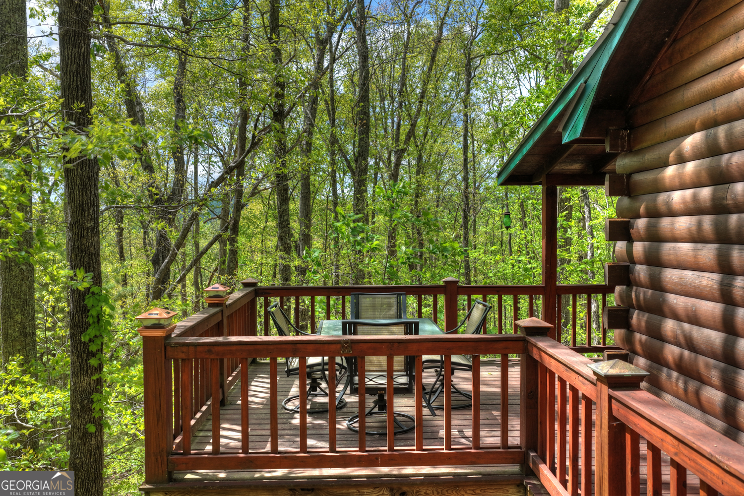 660 Ripshin Mountain Road Blue Ridge GA 30513