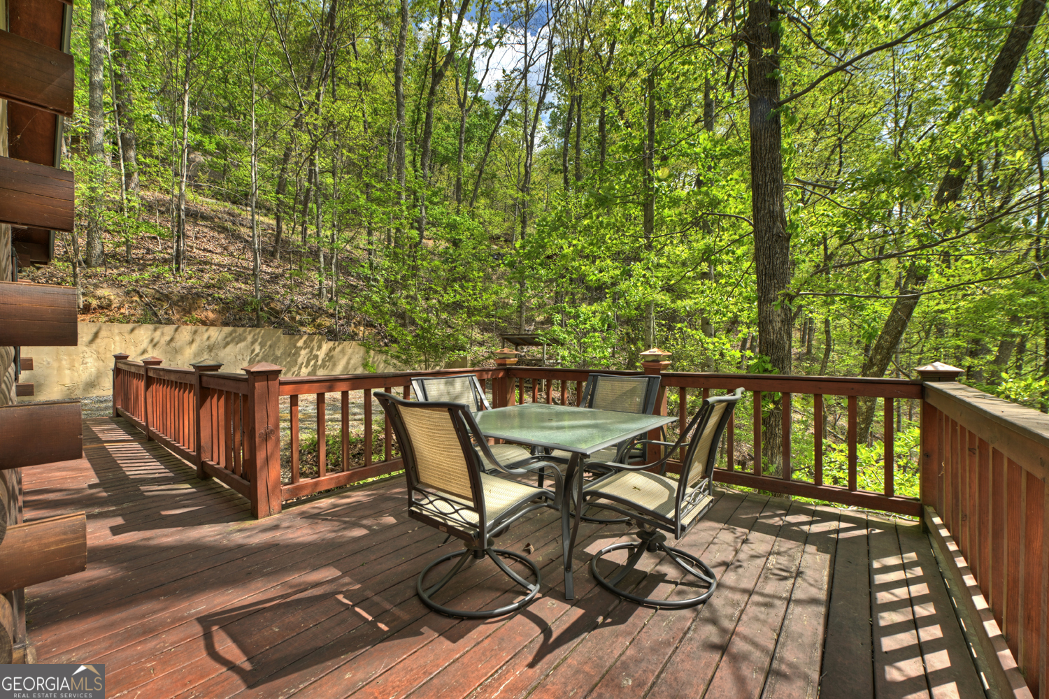 660 Ripshin Mountain Road Blue Ridge GA 30513