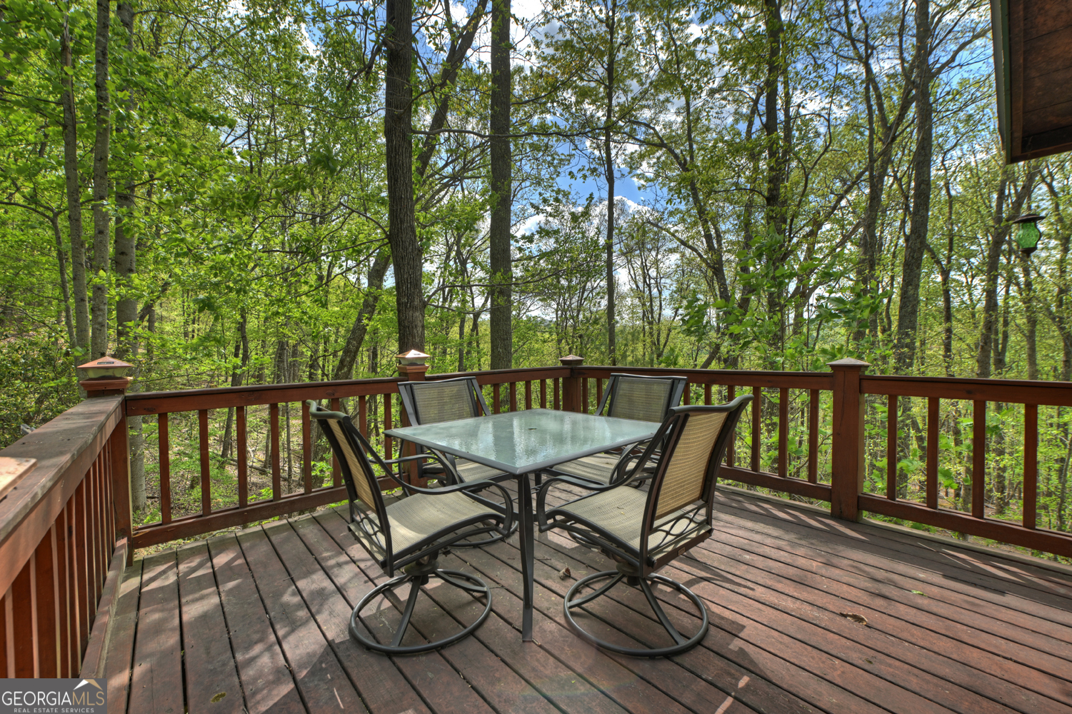 660 Ripshin Mountain Road Blue Ridge GA 30513