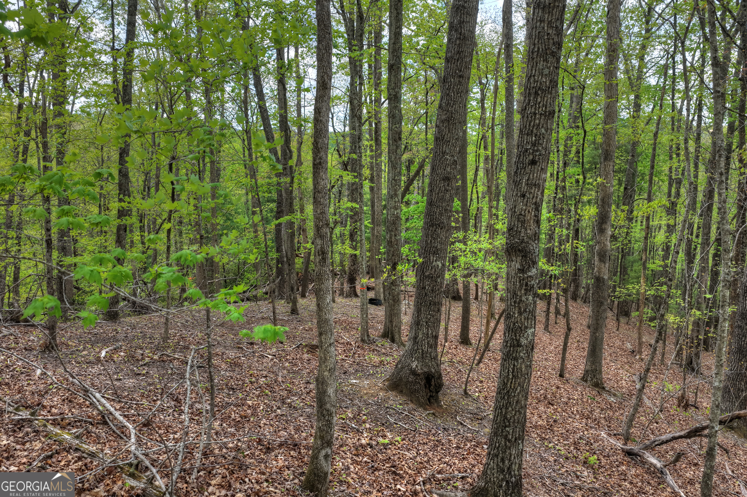 660 Ripshin Mountain Road Blue Ridge GA 30513