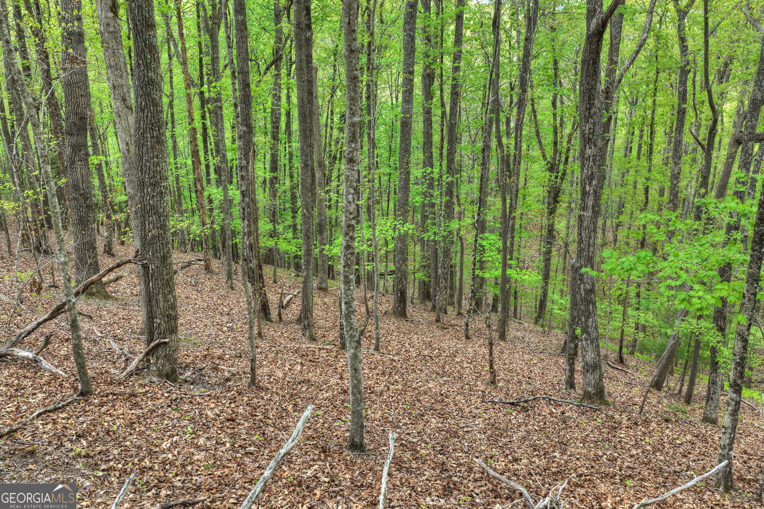 660 Ripshin Mountain Road Blue Ridge GA 30513