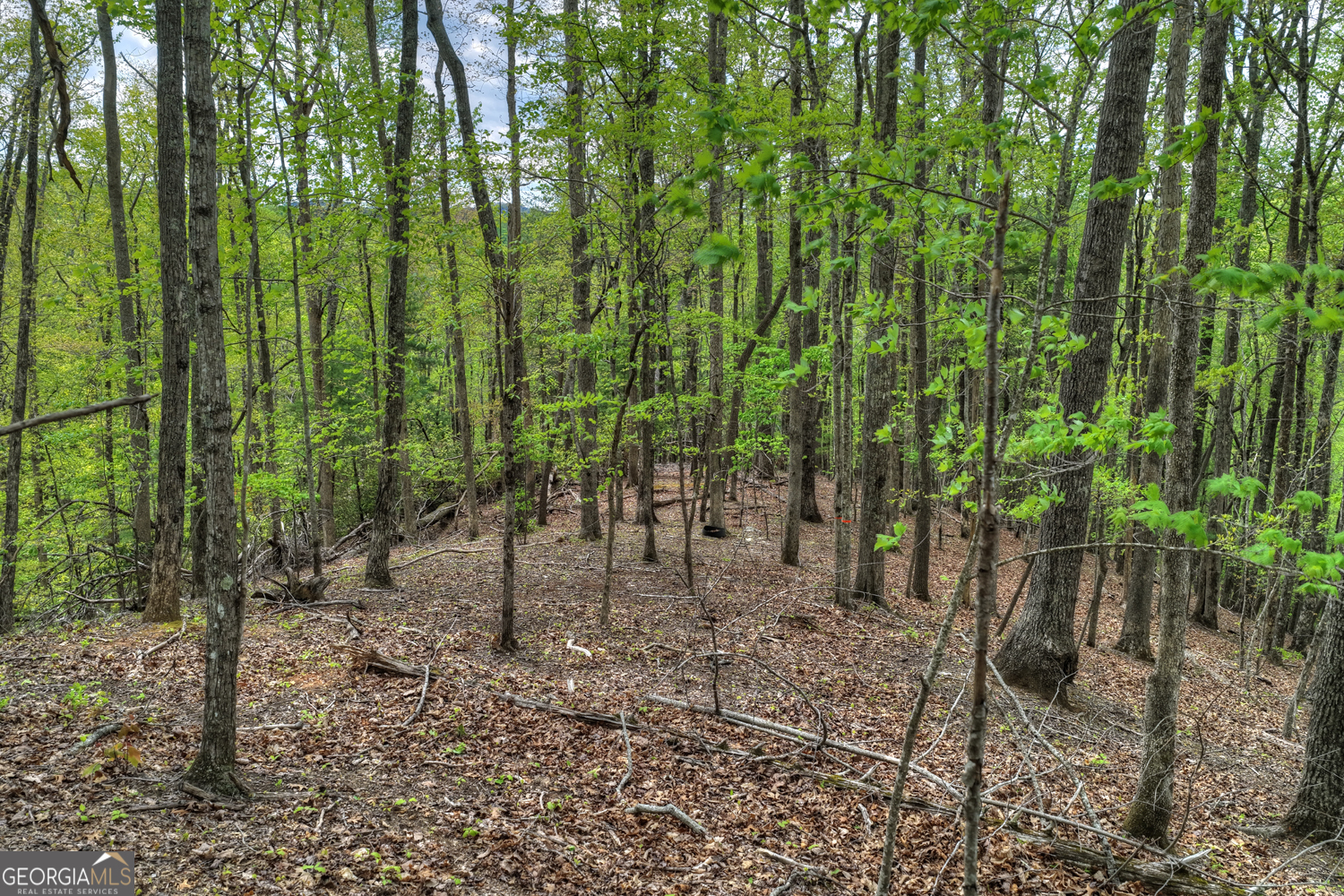 660 Ripshin Mountain Road Blue Ridge GA 30513