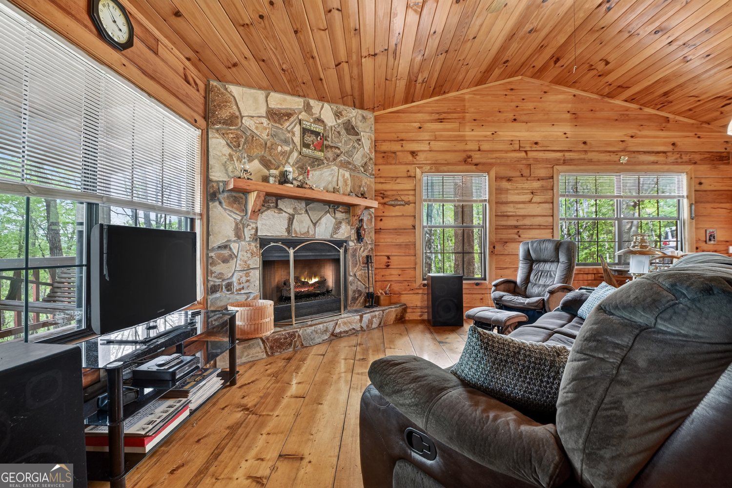 660 Ripshin Mountain Road Blue Ridge GA 30513