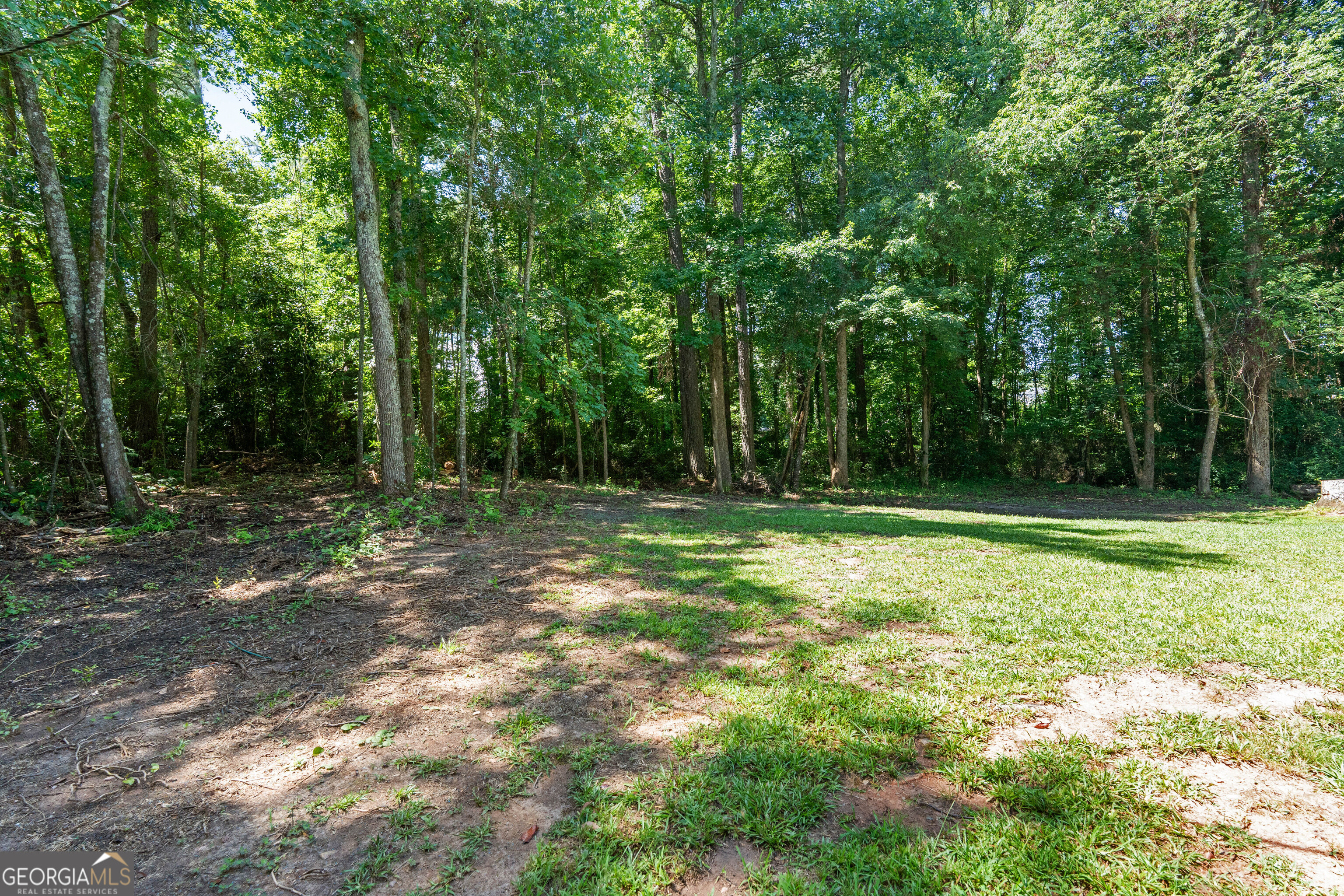 255 Ben Perkins Drive Bowdon GA 30108
