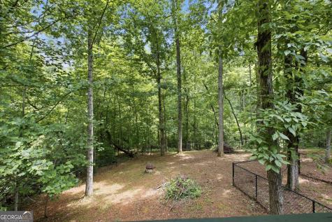 258 Marguerite Lane Clarkesville GA 30523