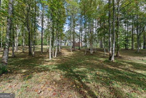 252 Yonah Way Blairsville GA 30512