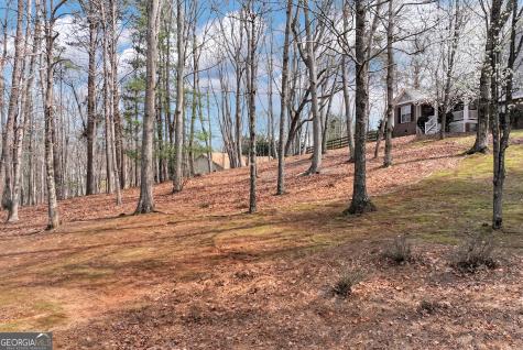579 Willows Drive Cleveland GA 30528
