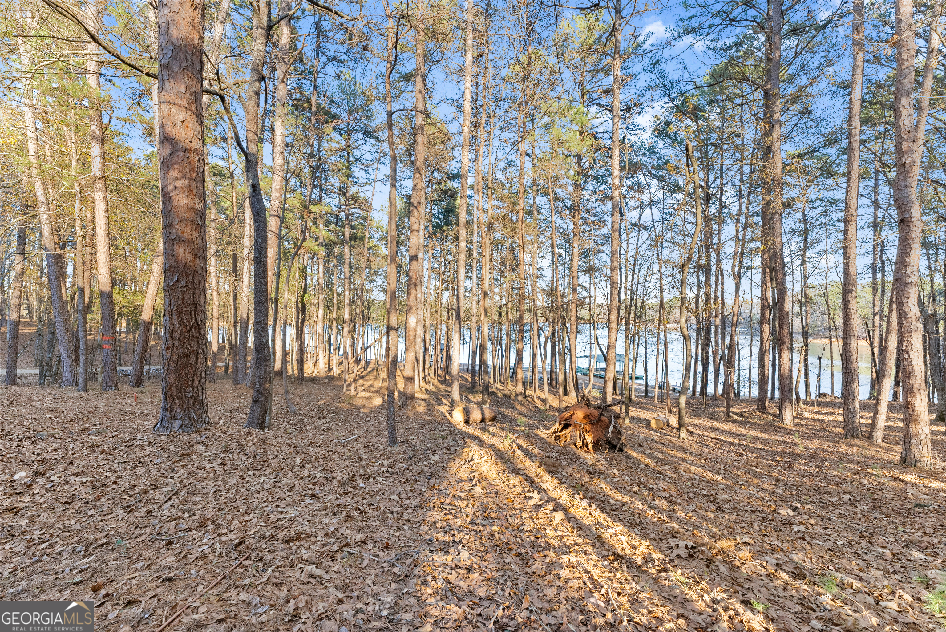 287 Spring Branch Circle Toccoa GA 30577