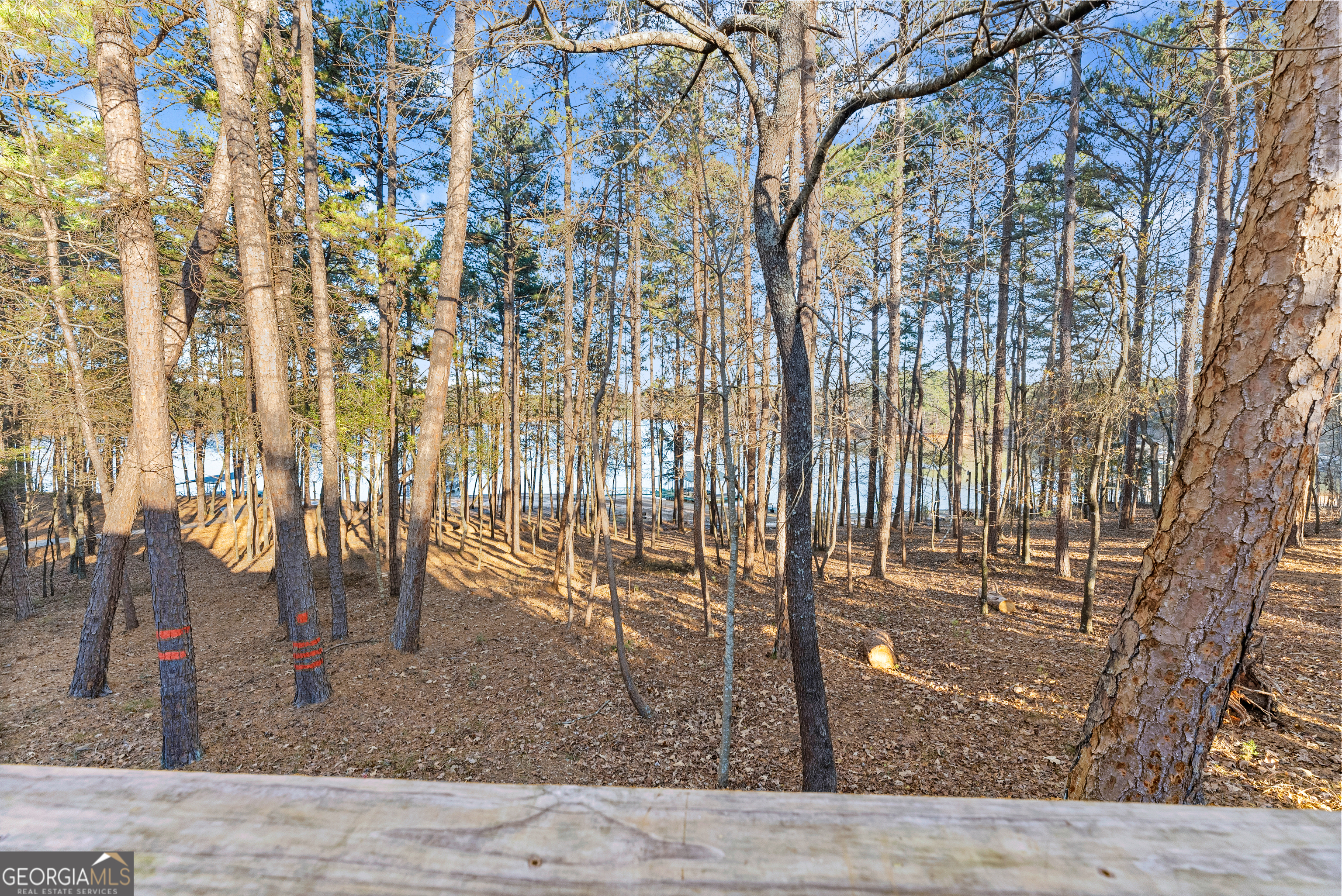 287 Spring Branch Circle Toccoa GA 30577