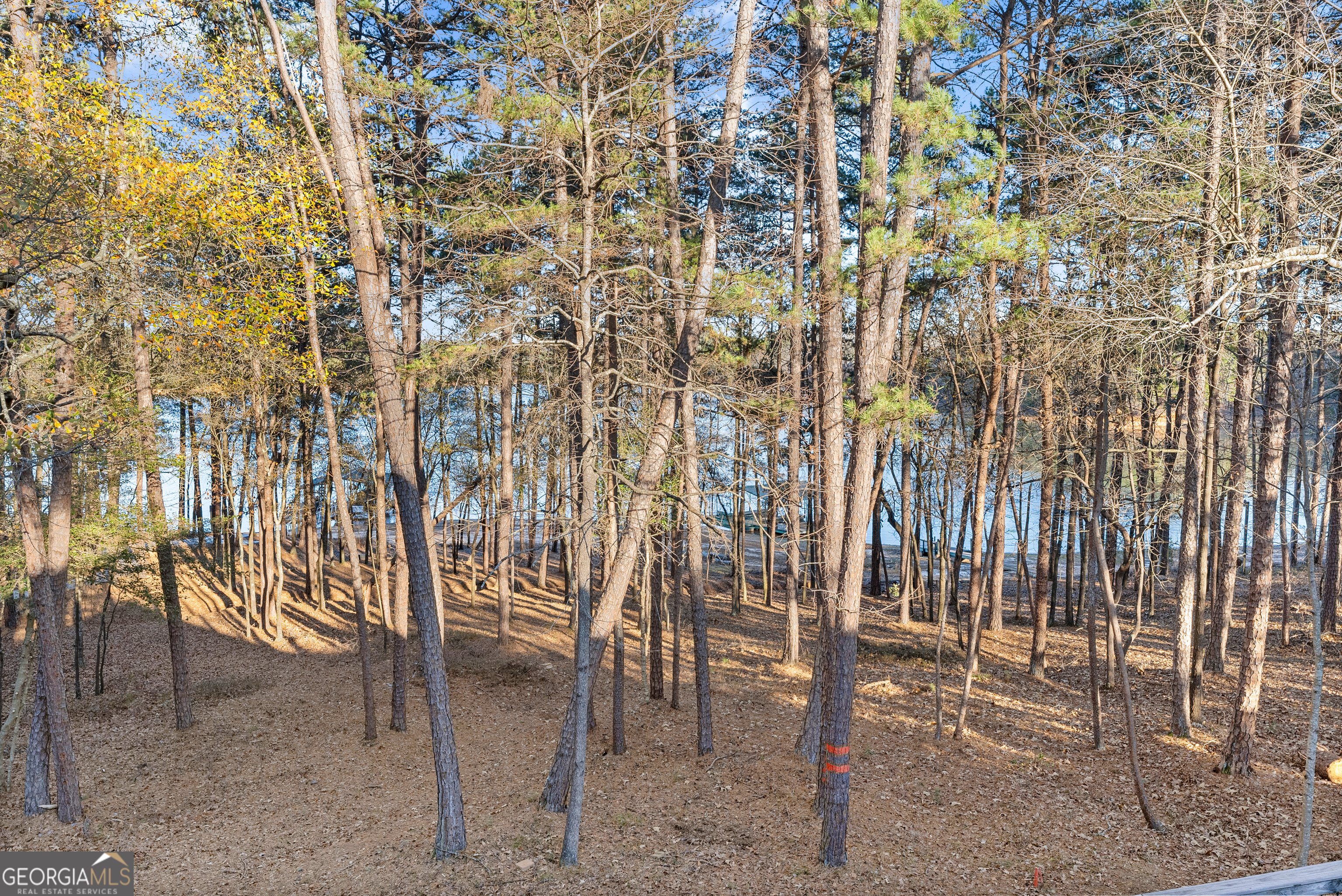 287 Spring Branch Circle Toccoa GA 30577