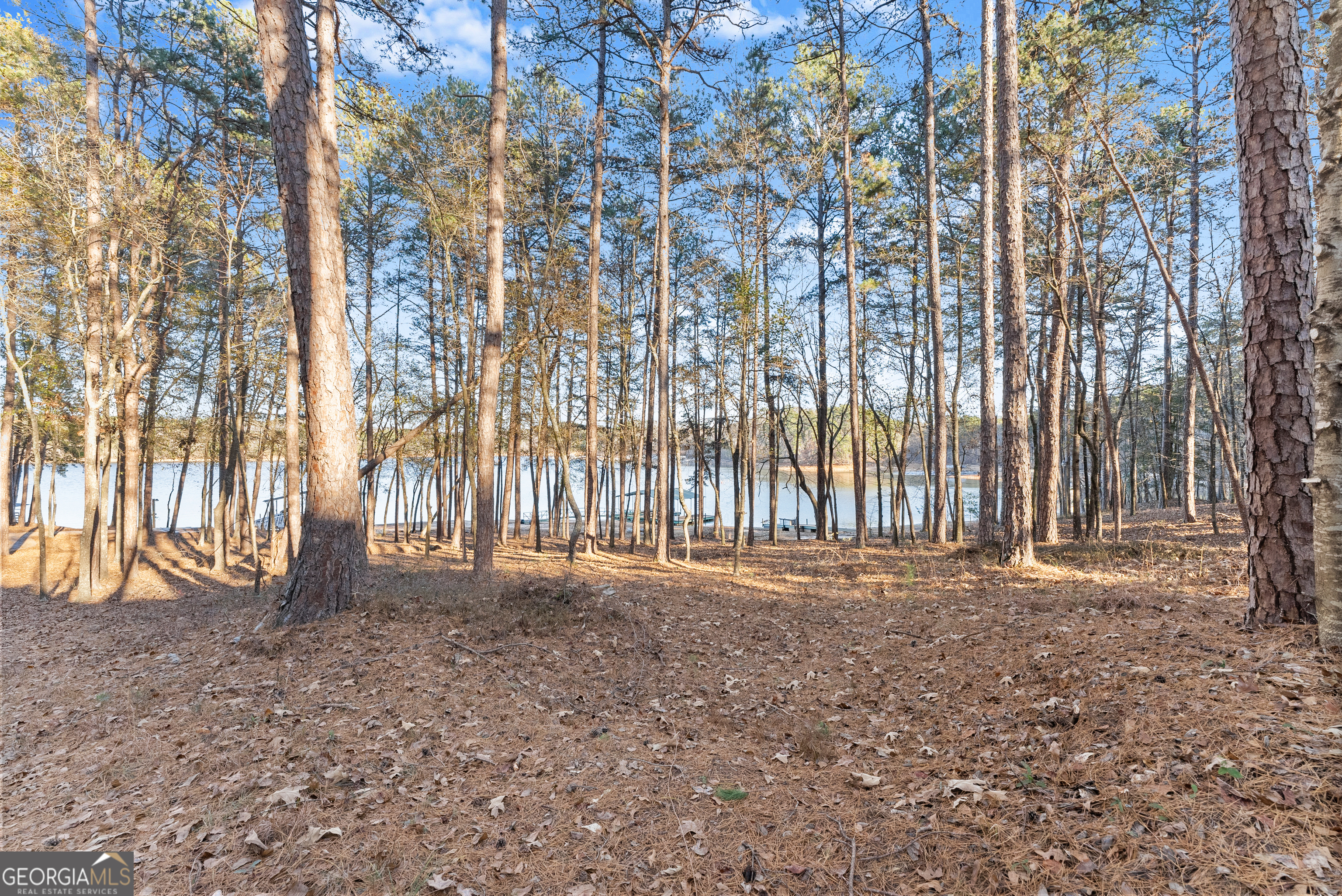 287 Spring Branch Circle Toccoa GA 30577
