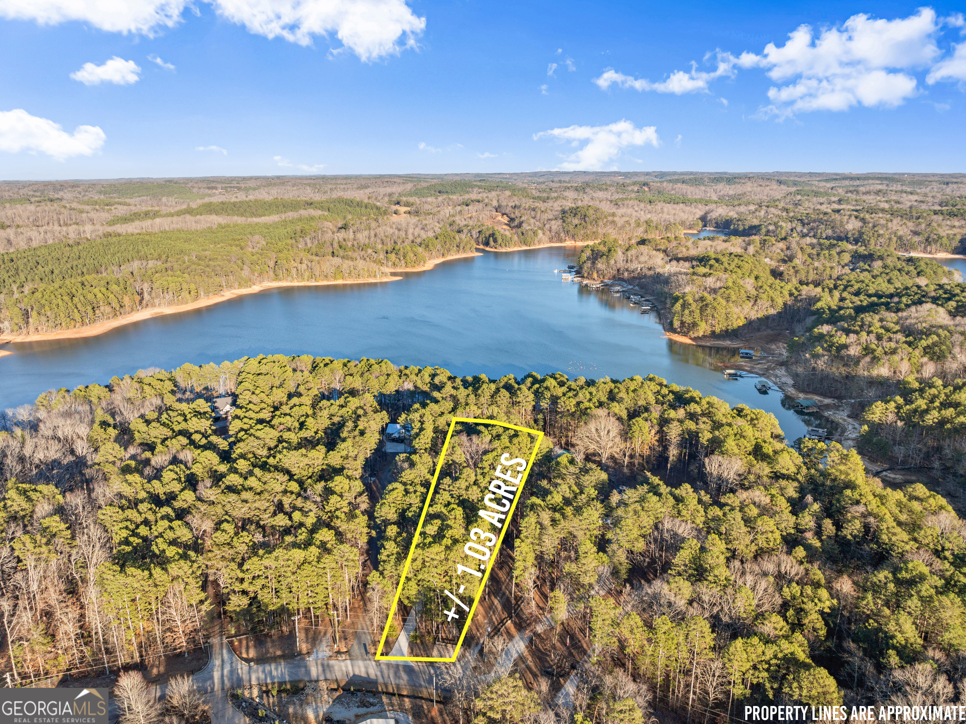 287 Spring Branch Circle Toccoa GA 30577