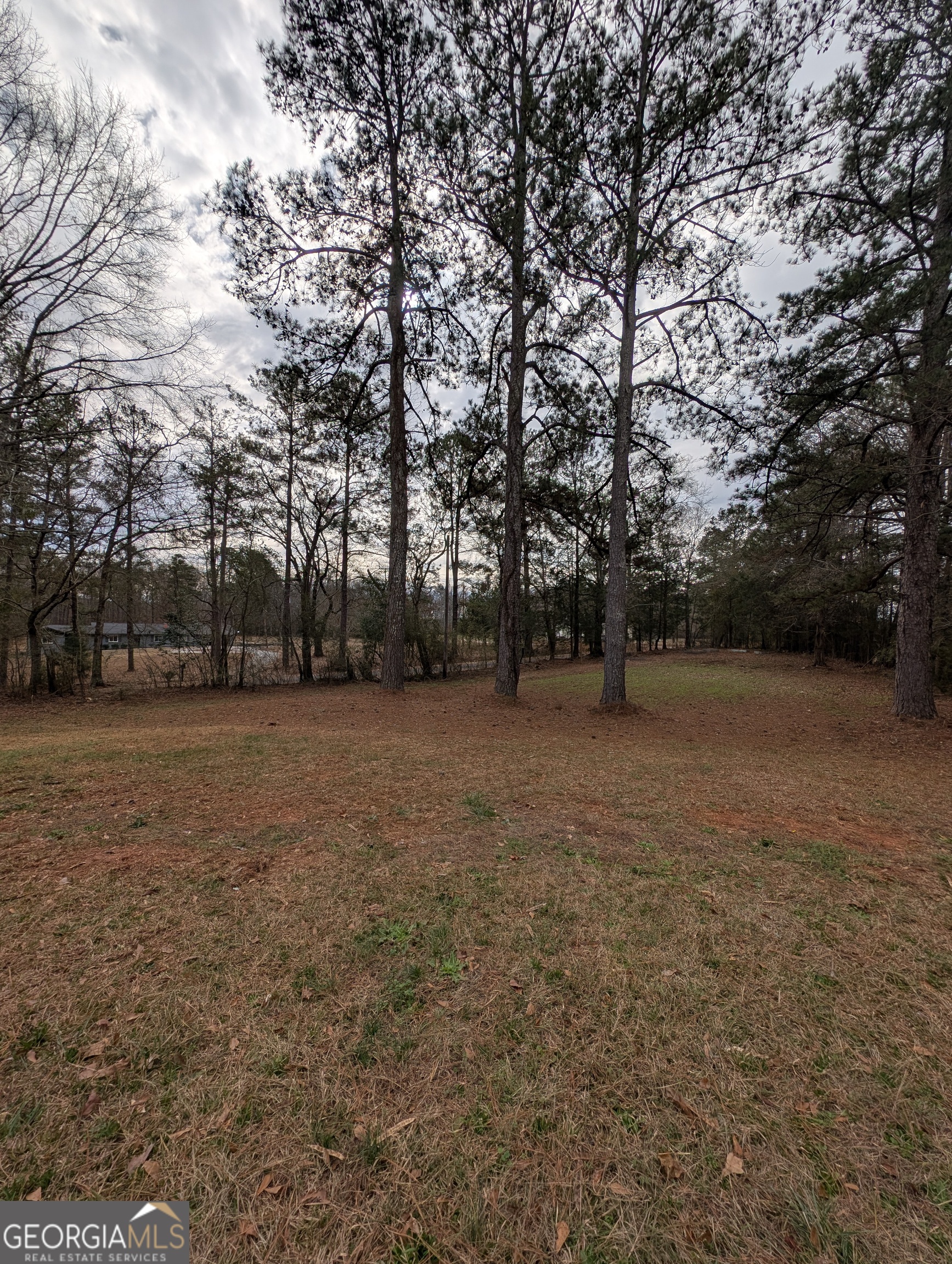 11080 White House Parkway Woodbury GA 30293