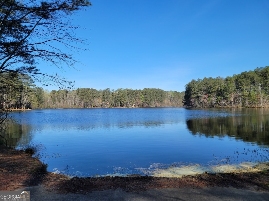 26 Parlor Circle Sharpsburg GA 30277