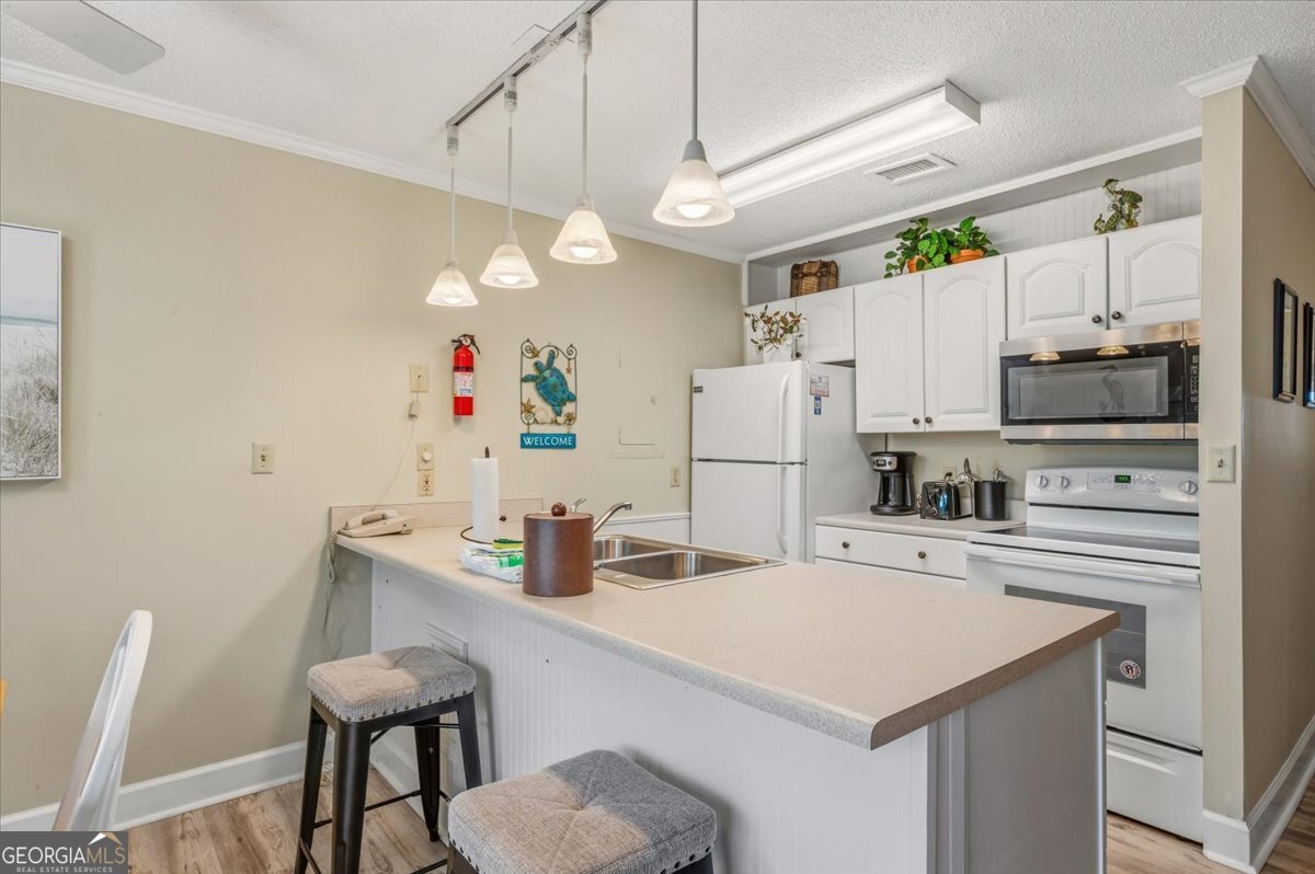 1175 N Beachview Drive Jekyll Island GA 31527