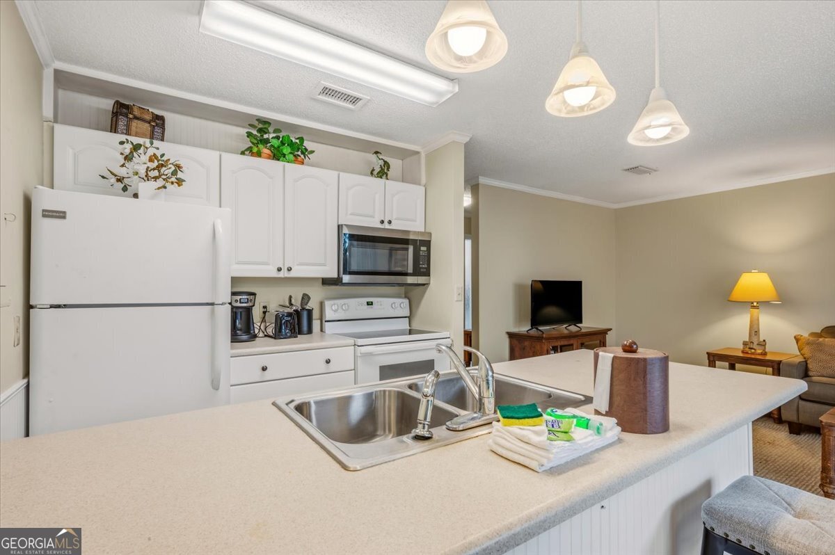 1175 N Beachview Drive Jekyll Island GA 31527