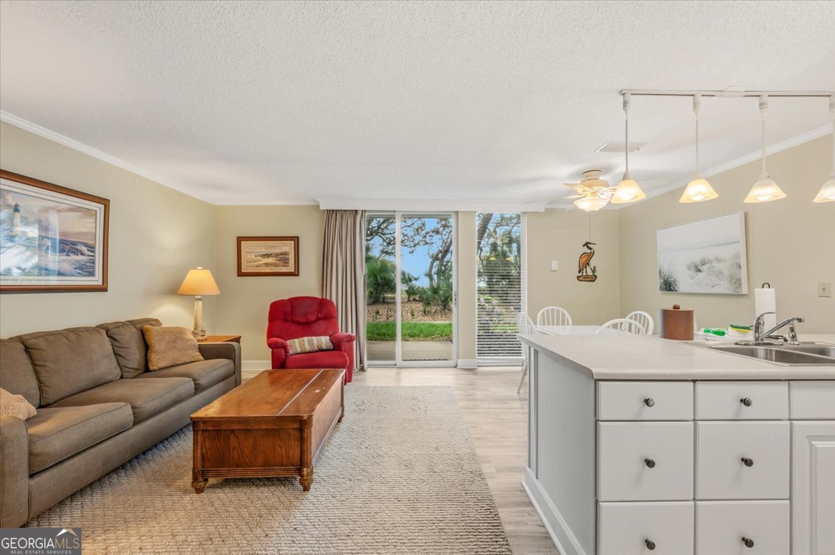 1175 N Beachview Drive Jekyll Island GA 31527