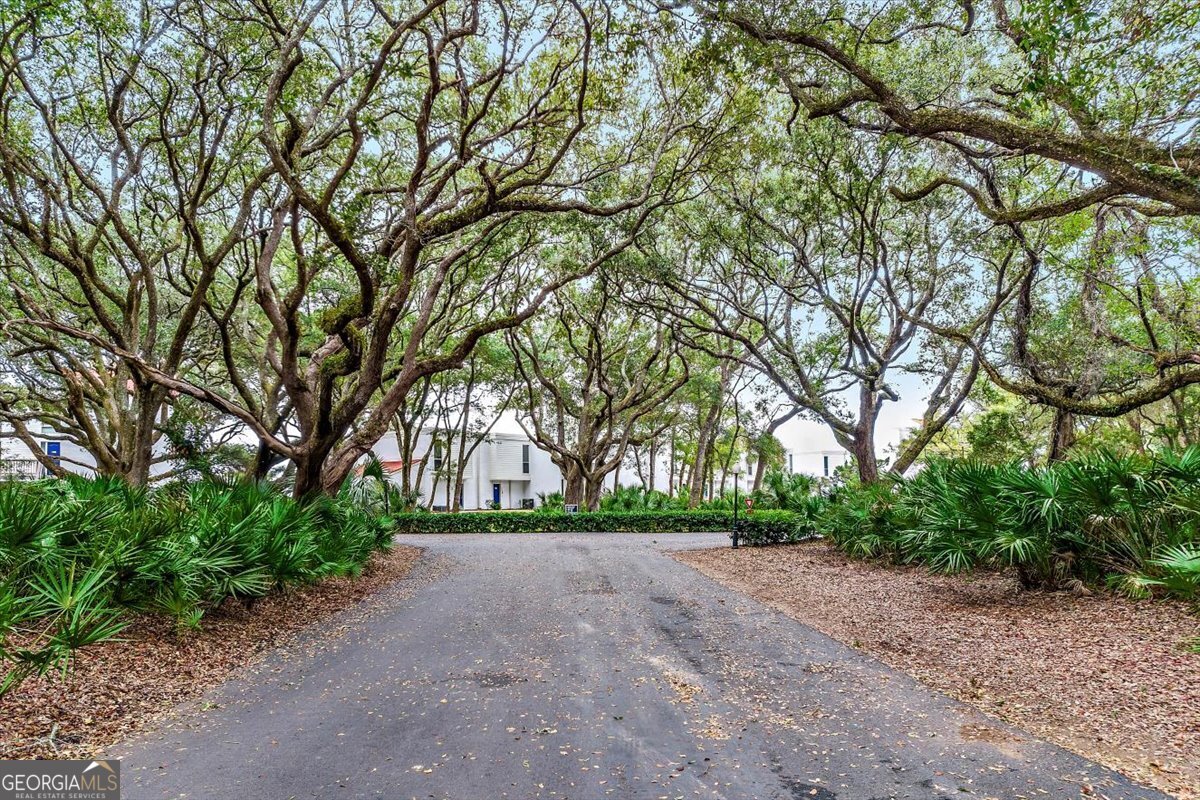1175 N Beachview Drive Jekyll Island GA 31527