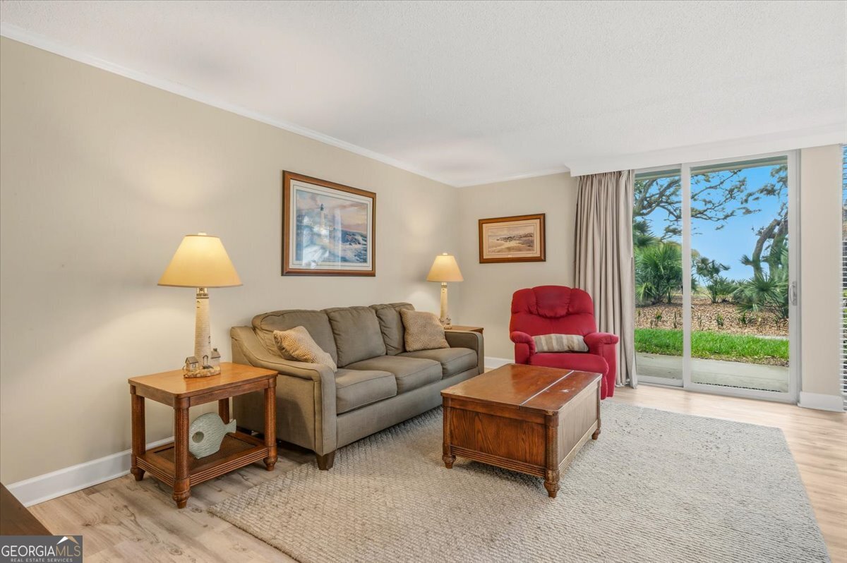 1175 N Beachview Drive Jekyll Island GA 31527