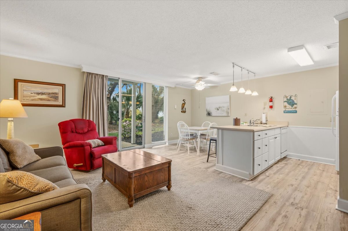 1175 N Beachview Drive Jekyll Island GA 31527