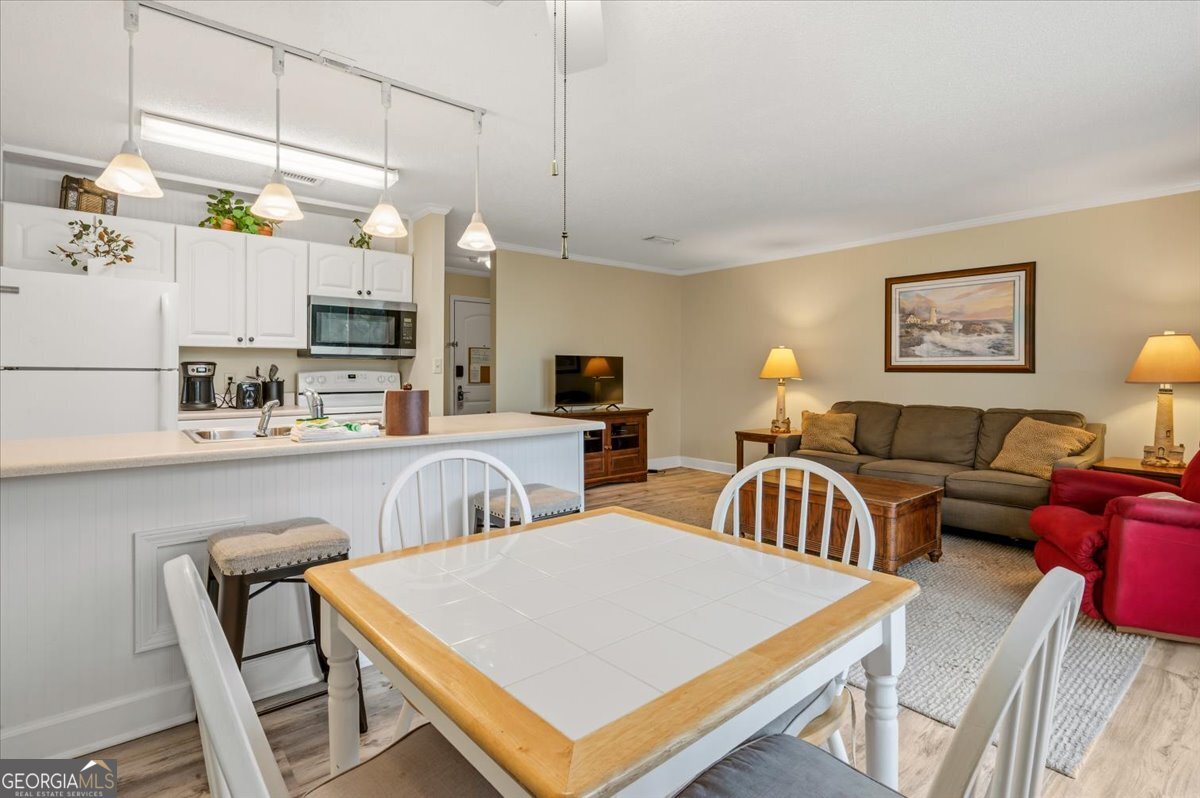 1175 N Beachview Drive Jekyll Island GA 31527