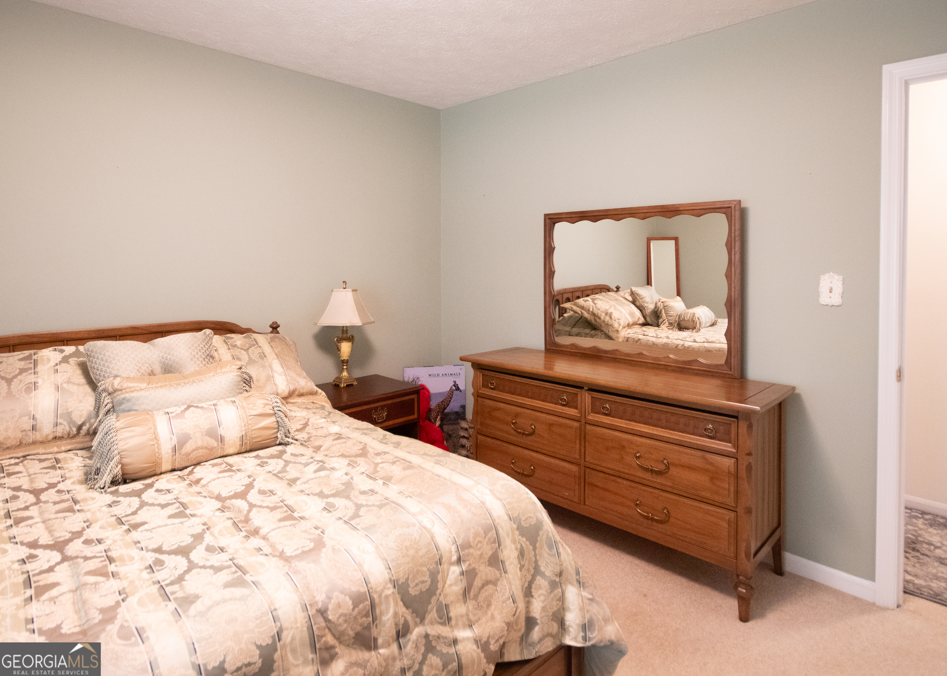 15 Mornside Drive Forsyth GA 31029