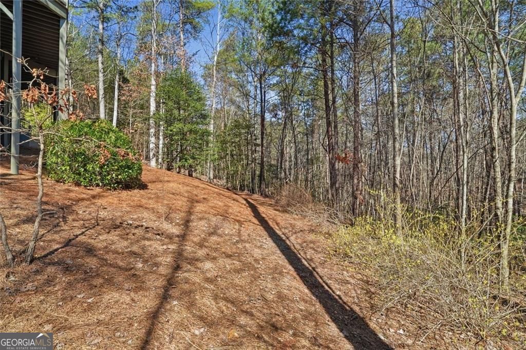131 Sycamore Trail Big Canoe GA 30143