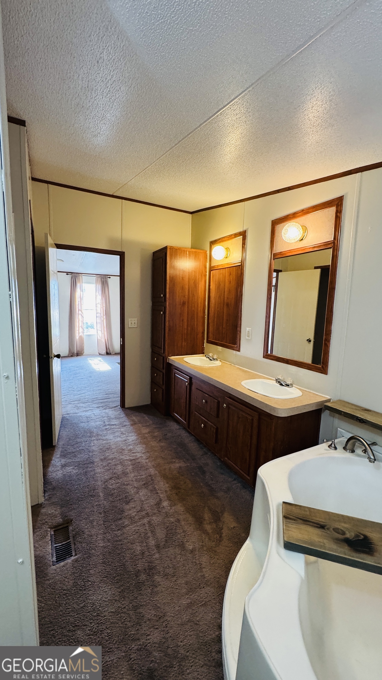 495 Mitchell Drive Reidsville GA 30453