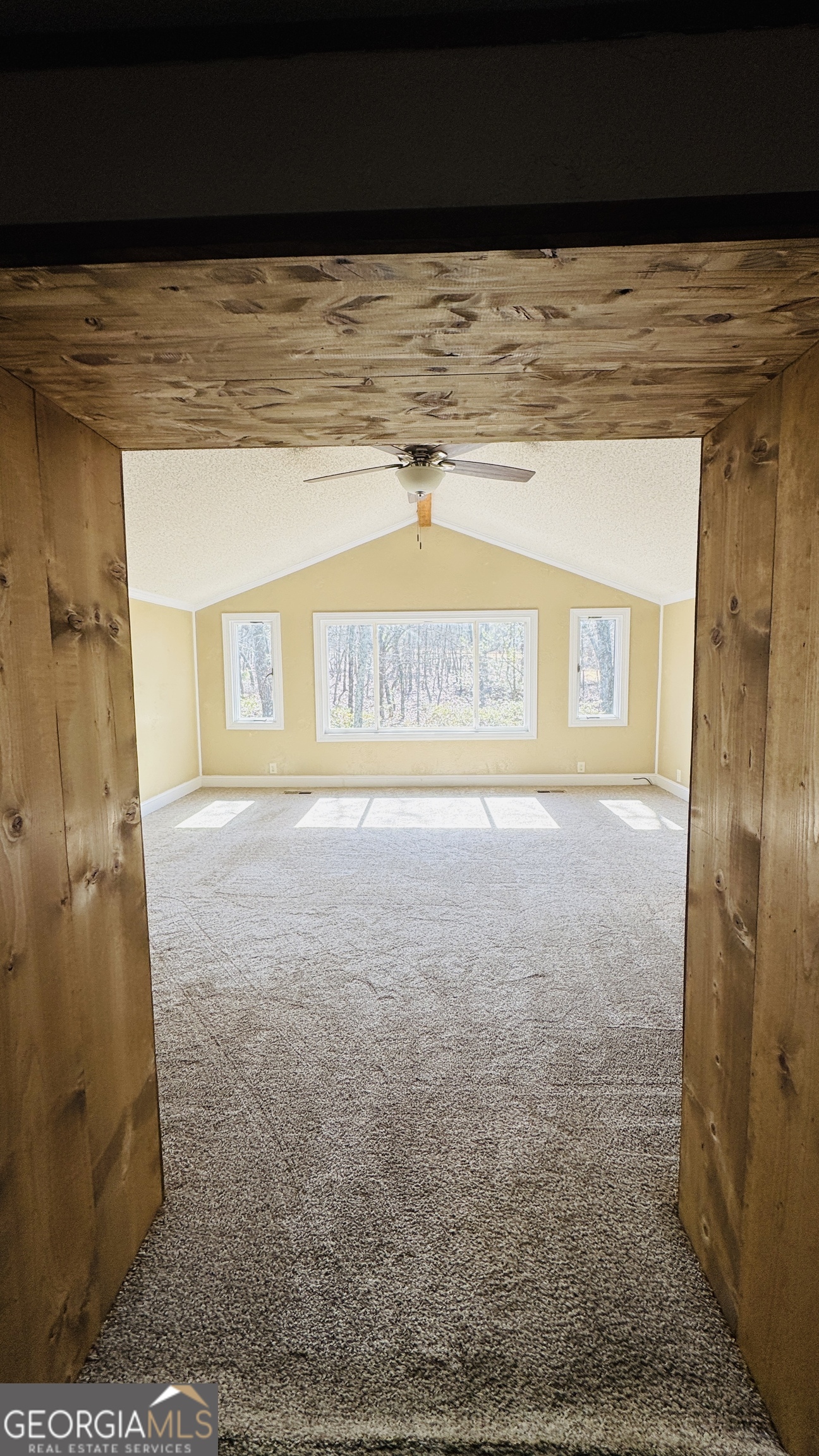 495 Mitchell Drive Reidsville GA 30453
