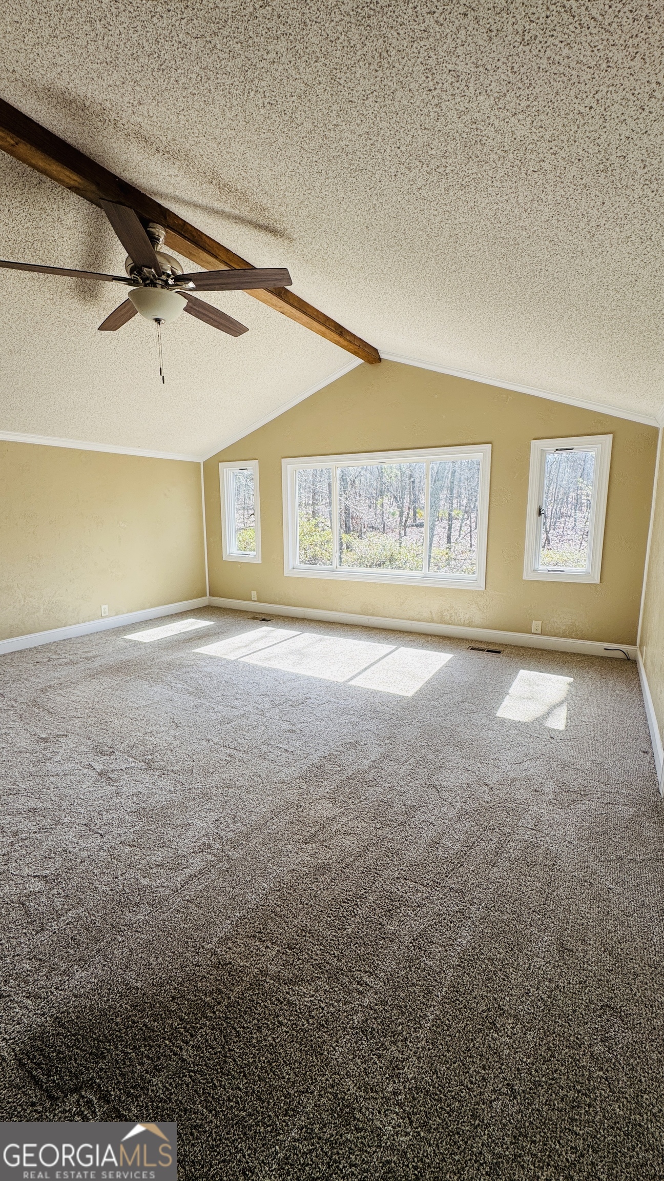 495 Mitchell Drive Reidsville GA 30453