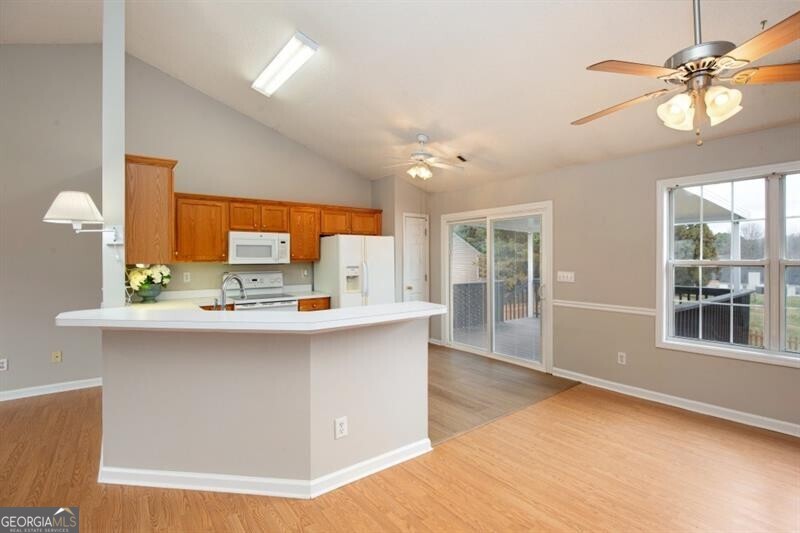 8440 River Bluff Place Ball Ground GA 30107