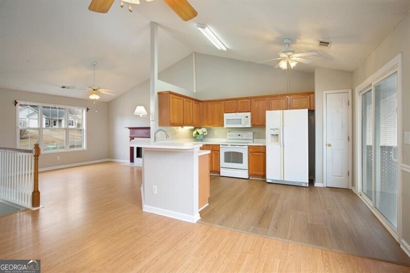 8440 River Bluff Place Ball Ground GA 30107