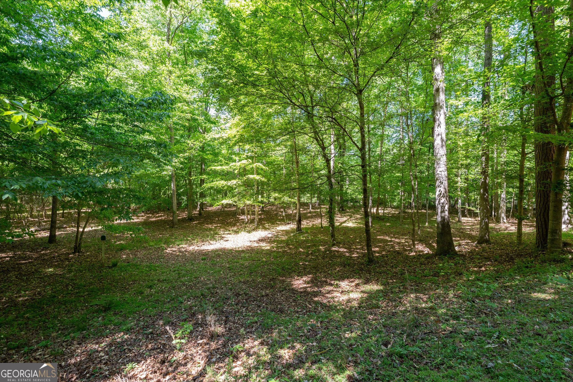 218 N Ole Hickory Trail Carrollton GA 30117