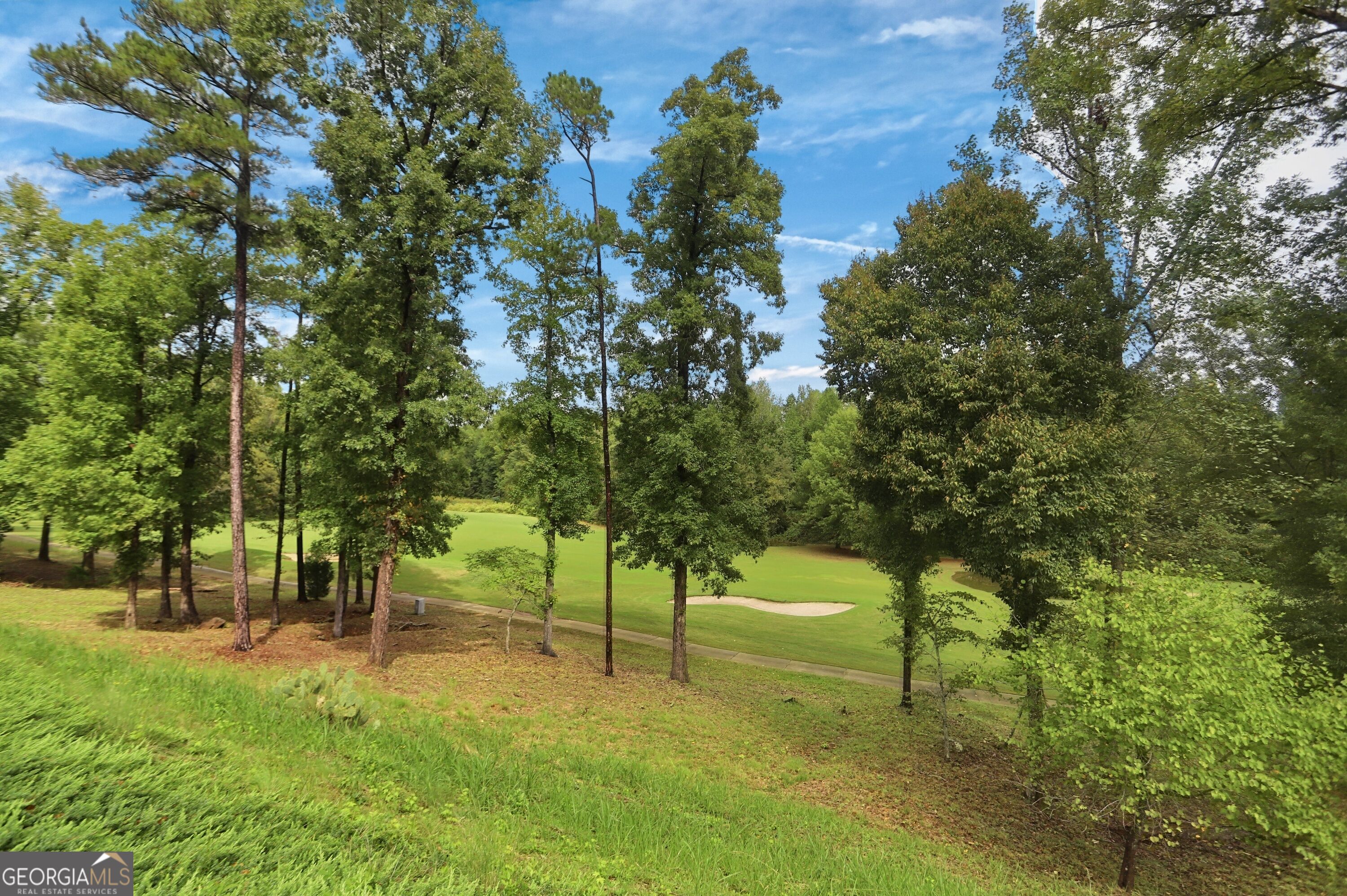 443 Tallulah Drive Griffin GA 30223