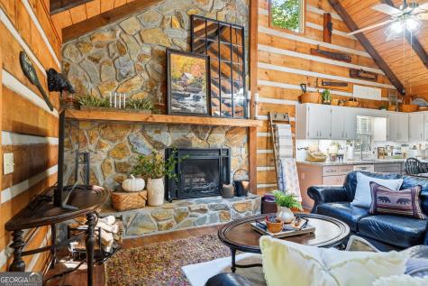 46 Gooseberry Trail Blue Ridge GA 30513