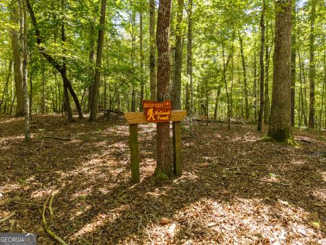 46 Gooseberry Trail Blue Ridge GA 30513