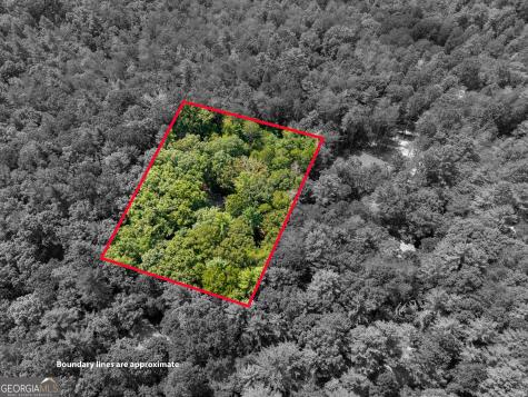46 Gooseberry Trail Blue Ridge GA 30513