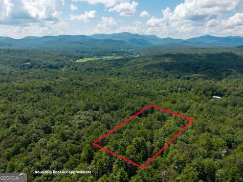 46 Gooseberry Trail Blue Ridge GA 30513