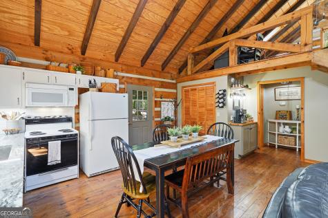 46 Gooseberry Trail Blue Ridge GA 30513