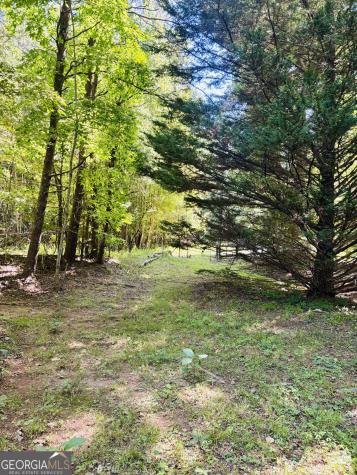 95 Hill Crest Court Cleveland GA 30528