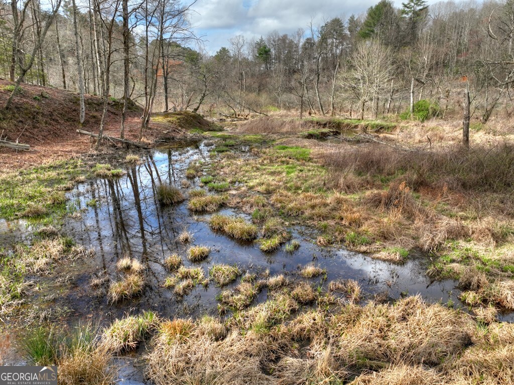 4081 Whitepath Road Ellijay GA 30540