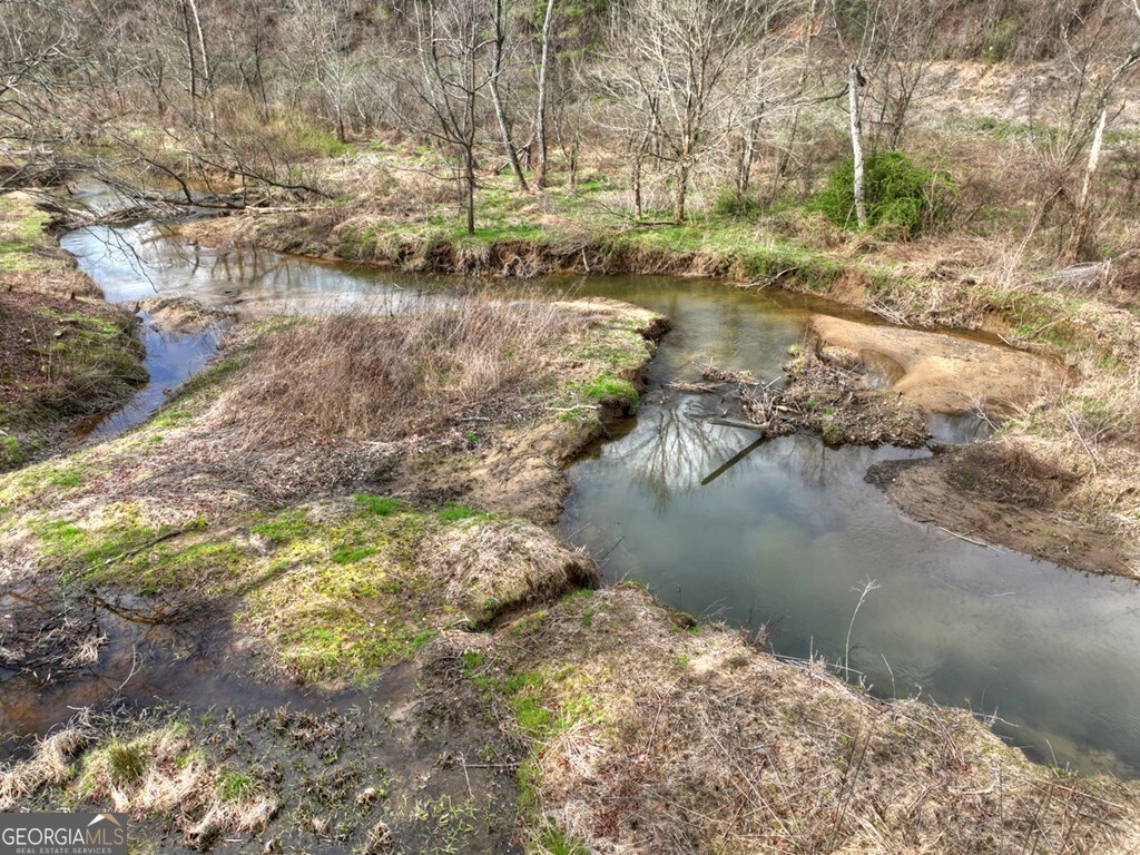 4081 Whitepath Road Ellijay GA 30540