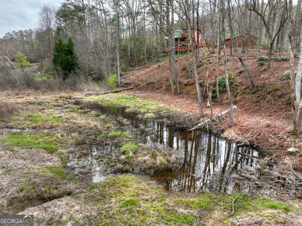 4081 Whitepath Road Ellijay GA 30540