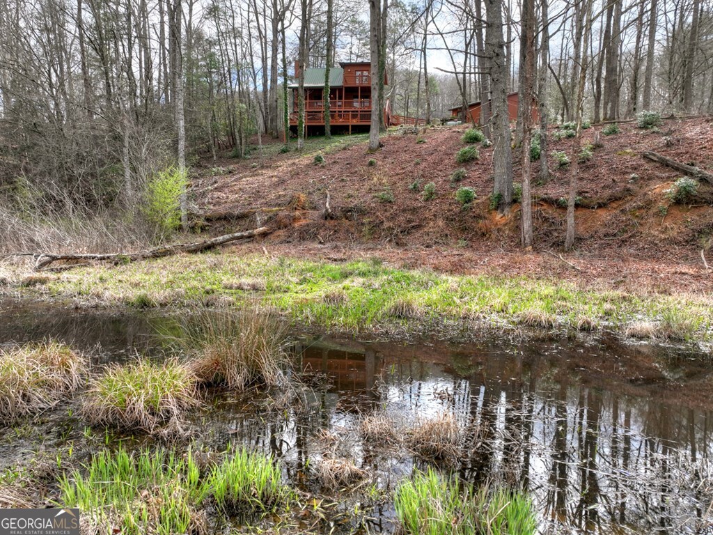4081 Whitepath Road Ellijay GA 30540