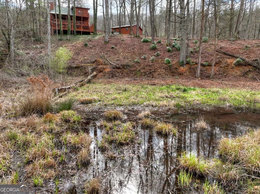 4081 Whitepath Road Ellijay GA 30540