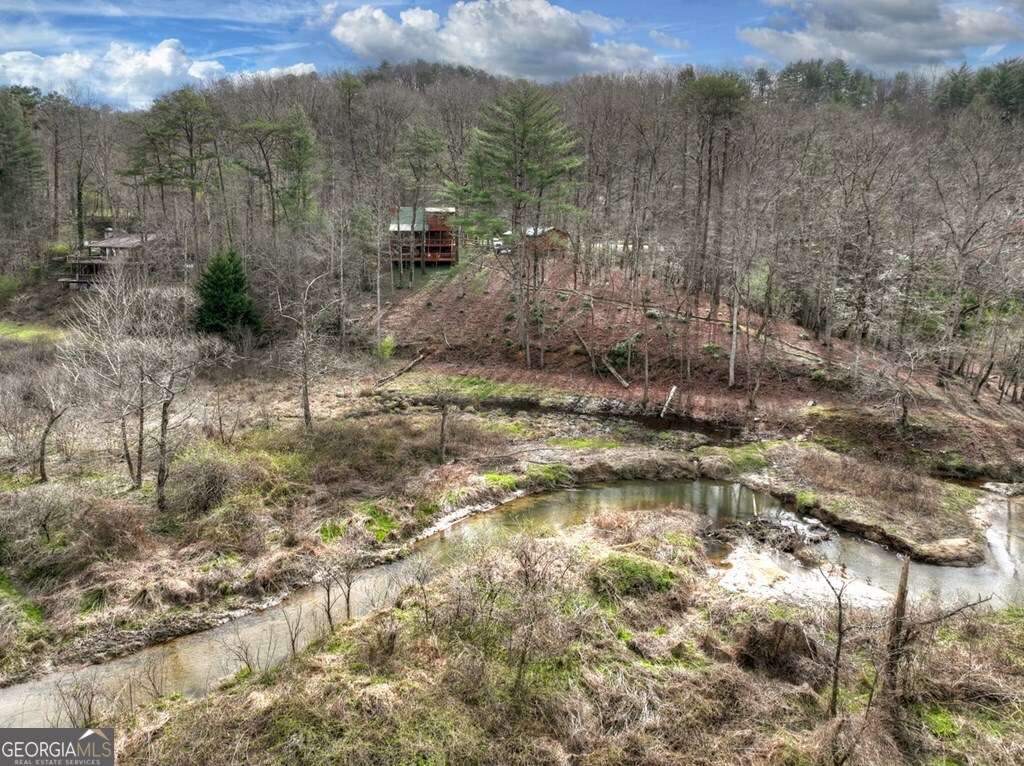 4081 Whitepath Road Ellijay GA 30540