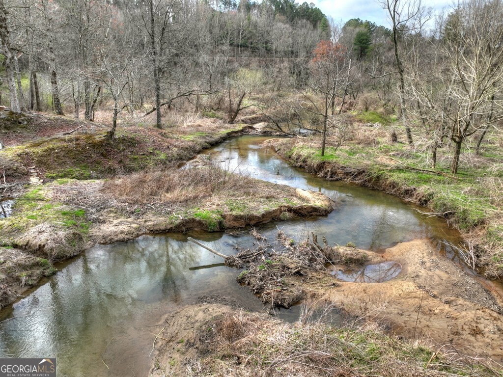 4081 Whitepath Road Ellijay GA 30540